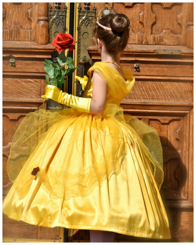 belle princess dress